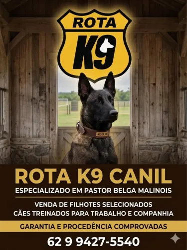 CANIL PASTOR MALINOIS / PASTOR ALEMÃO