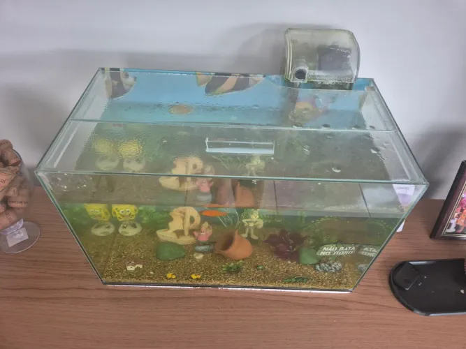 Aquário 30L com bomba