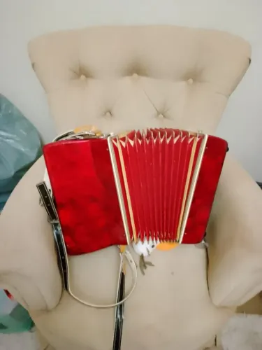 Acordeon/ Sanfona barato