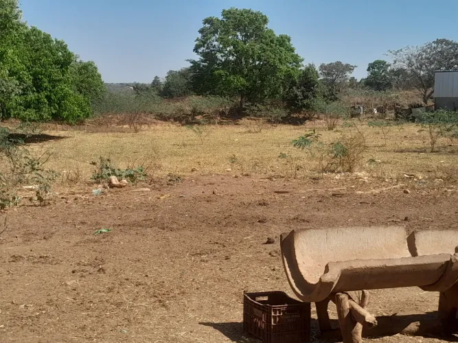 Alugo para energia solar você que esta precisando um lugar seguro esse e o lugar ideal