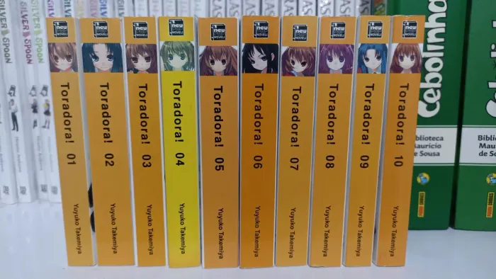 Toradora - Light Novel completa USADO