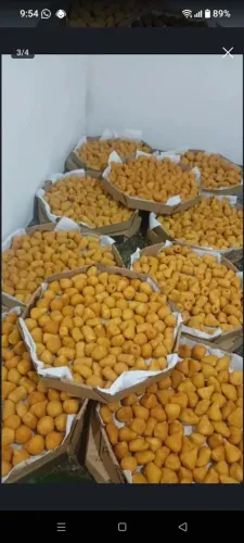Salgados centro 39,99