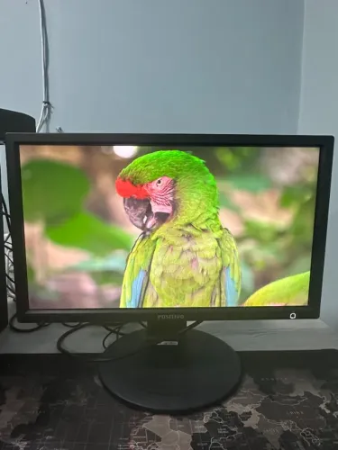 Monitor Positivo 20 Polegadas E2011PX - Resolução HD+ para Trabalho e Estudos  