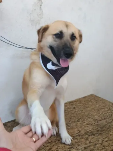 Doaçao