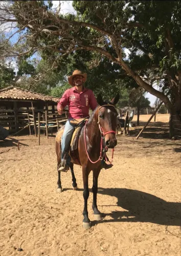 Vendo Potra Mangalarga Marchador