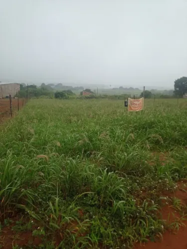 VENDO 2 TERRENOS NO SITIO LAGOA CAVADA EM ARAPIRACA - AL 220