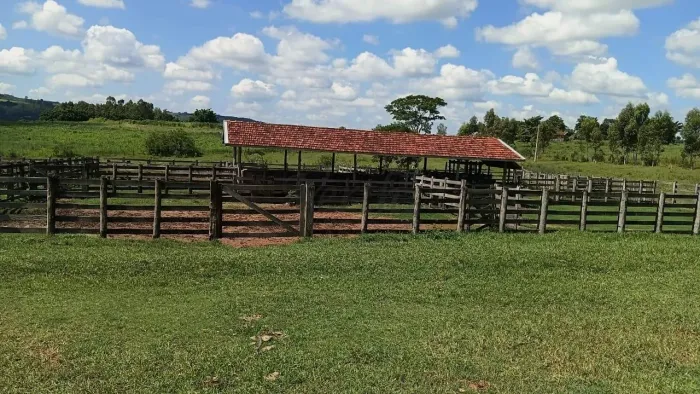 FAZENDA À VENDA 96 ALQUEIRES VERA CRUZ/SP | REGIÃO DE MARÍLIA