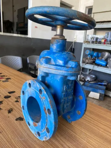 Valvula gaveta DN100 PN16