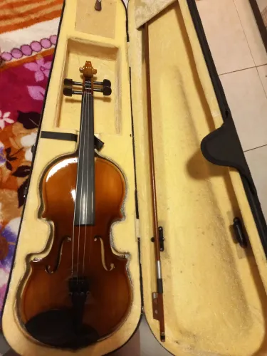 VIOLINO 4x4