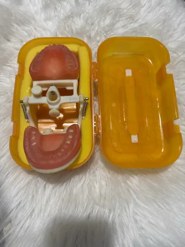 Manequim odontológico 