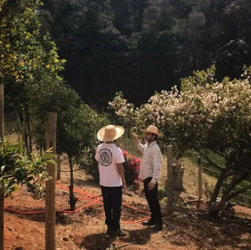 SÍTIO À VENDA - 4,3 HECTARES EM SÃO LUIZ DO PARAITINGA/SP