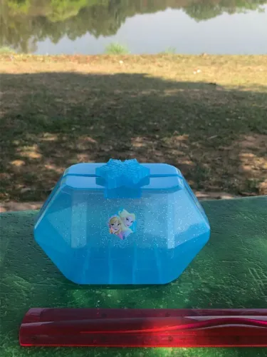 Bolsinha necessaire Frozen Disney
