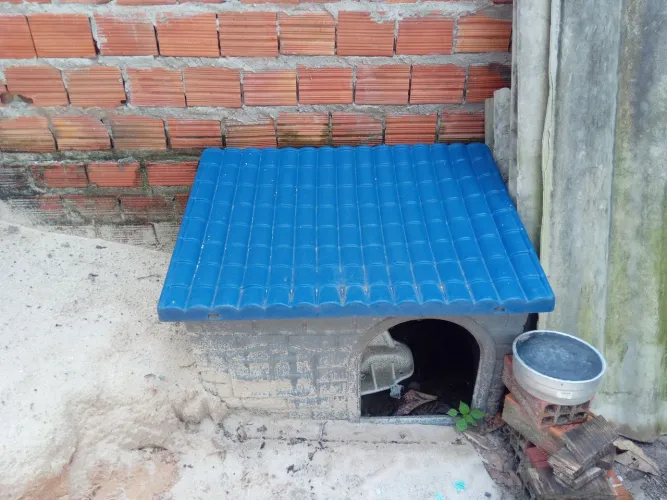 Casinha de cachorro 