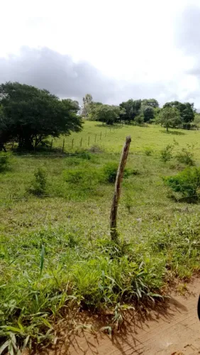 Terreno a 200m do Viana e Moura