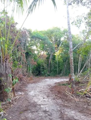 Vendas de Lotes com igarapé, para chácaras e sítio, Em vila de Lindóia