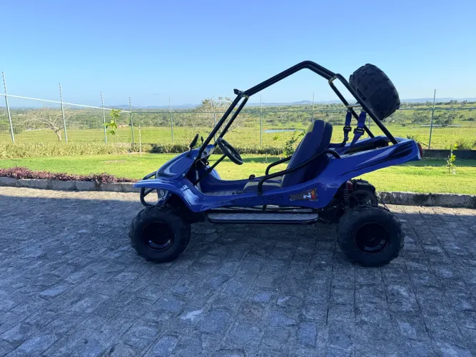 Mini buggy Fapinha revisado
