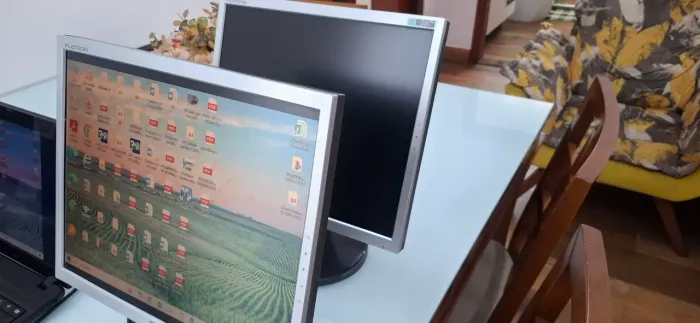 Monitor LG 17' usado