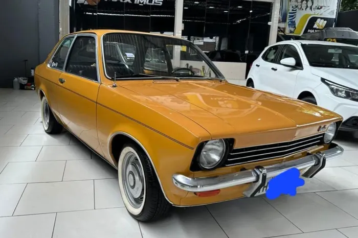 Chevrolet Chevette L / SL / Sl/e / DL / SE 1.6 1974
