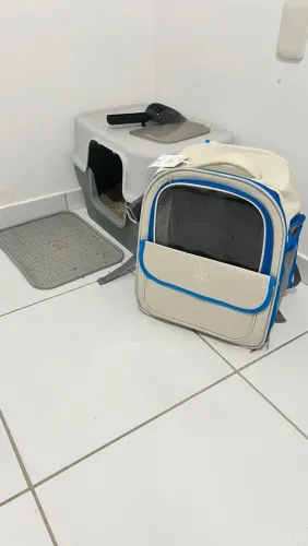 Acessórios para gato