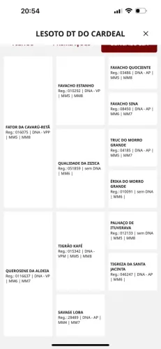 Cavalo Mangalarga castrado registrado