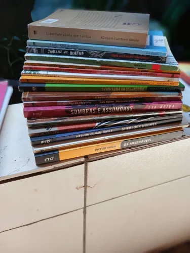 Livros literários, são 17 livros