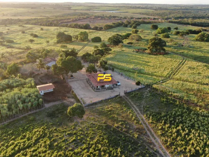 Fazenda 67 hectares em Jacaraú/PB à Venda REF: PS7738