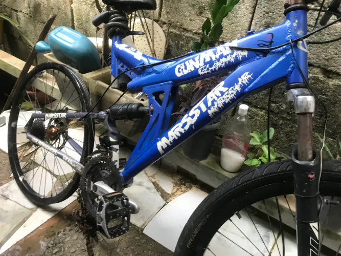 Bicicleta