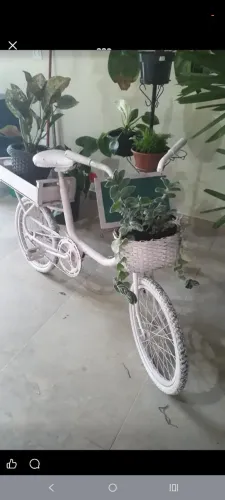 Monareta Para Decoração Jardim ou Restaurar Aro 20