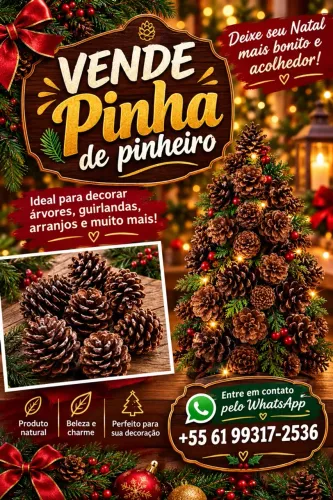 PINHA DE DECORAÇÃO DE NATAL