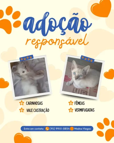 Adoção responsável 