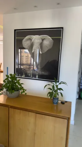 Quadro decorativo 
