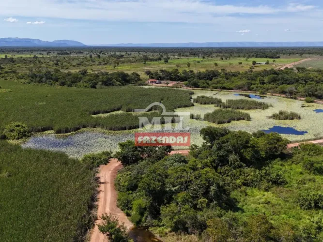 Fazenda 303,59 Alqueires (1.469 hectares) Flores de Goiás - GO
