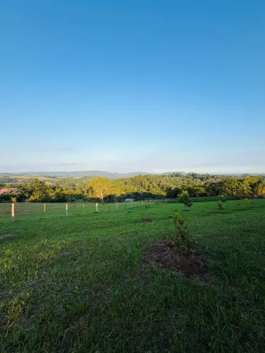Chácara à Venda em Morungava - Gravatai RS | 5.000 m² e Vista Panorâmica!
