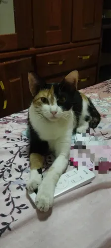 DESAPARECIDA / TEM RECOMPENSA