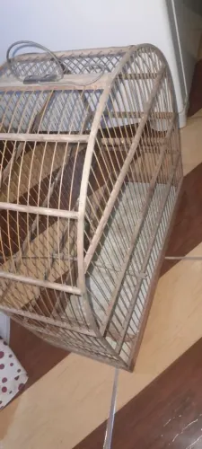 Gaiola