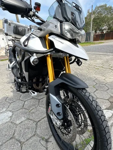 Tiger Rally Pro 2020