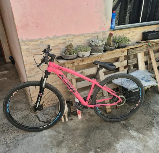 Bicicleta moutain bike KSW XLT 100 R29 19 24 marchas