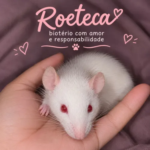 Twisters pet