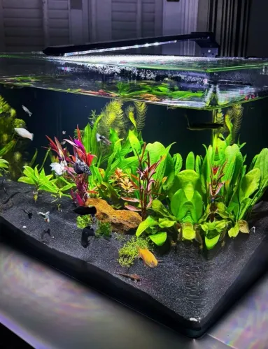 Aquário Ocean Tech 87L (Vidro Curvo + Sump Traseiro) + Brindes!