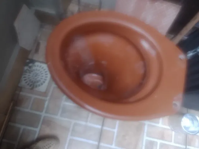 Vaso sanitario