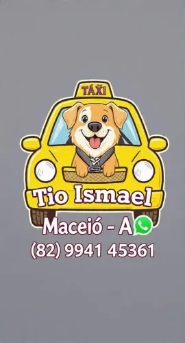 Táxi ? dog 