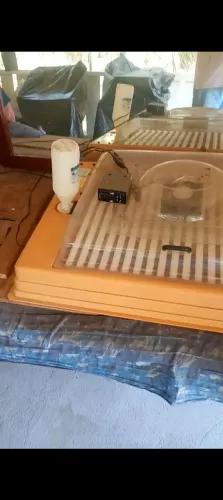 CHOCADEIRA PREMIUM ECOLÓGICA IP130