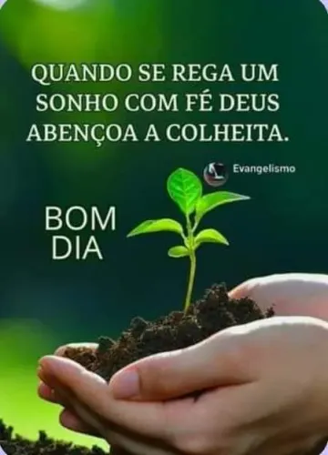 Doméstica em Goiânia 