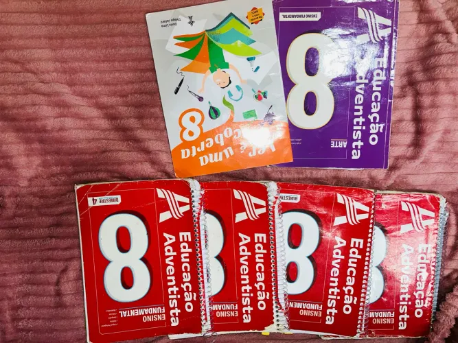 Livros 8 ano adventista bem conservado