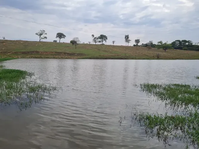 Fazenda de 15 alqueires  em Anápolis