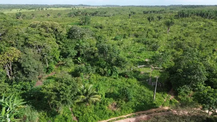158 alqueires com 100 abertos fazenda pronta há 215 km de Belém