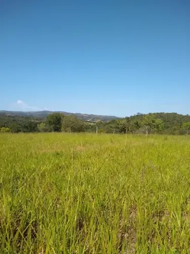 Chácara 20.000 m², plano, riacho nos fundos, terra fértil. Jaboticatubas.