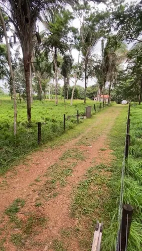 Chácara 7,7 hectares às margens do Rio Tocantins