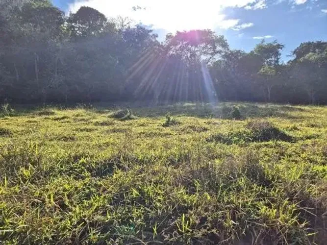 Fazenda valor abaixo mercado