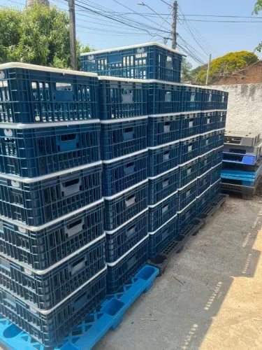 170 Gaiolas Para Transporte De Frango Vivo - Novas
